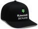 Кепка FOX FlexFit Hat - KAWI&reg; [Black], S/M
