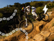 Сeдло Ergon SM Downhill Comp Vali H&ouml;ll Edition [black / gold]
