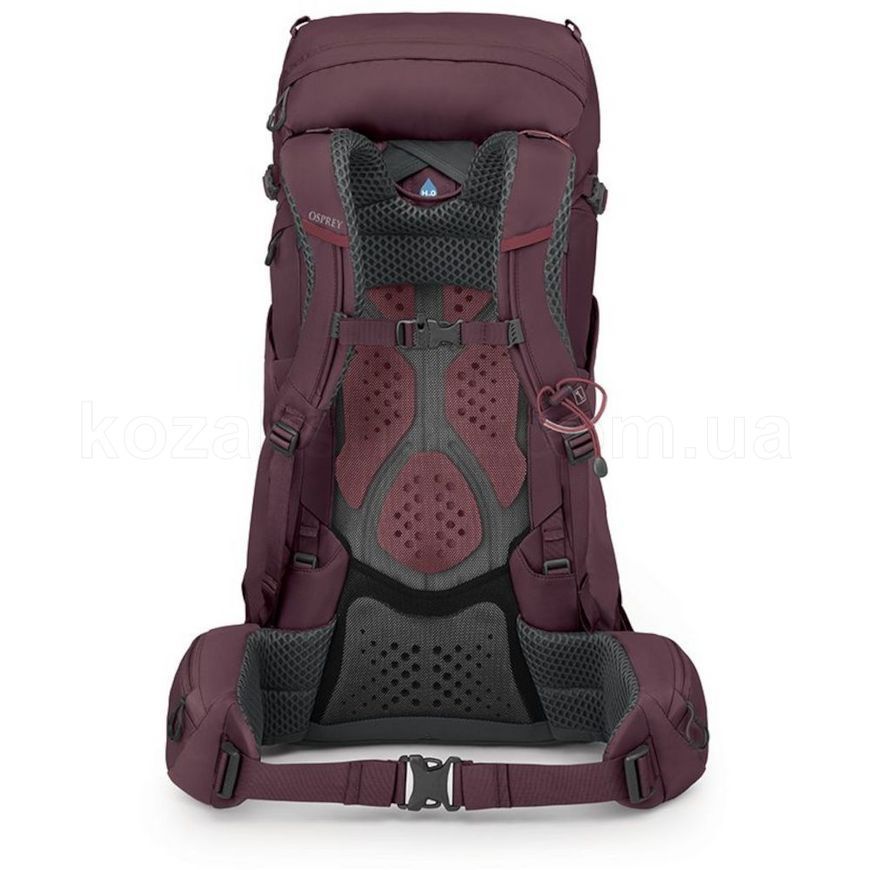 Рюкзак Osprey Kyte 38 [elderberry purple] - WM/L