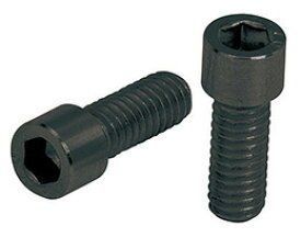 Болт для гріпс Ergon GA3, GE1, GE1 slim, GA2, GD1, GE1 Evo, GE1 Evo slim, GA2 Fat, GFR1