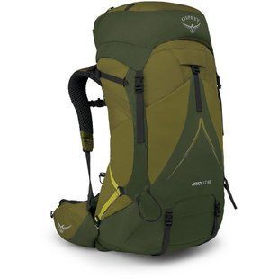 Рюкзак Osprey Atmos AG LT 65 [scenic valley/green peppercorn] - S/M