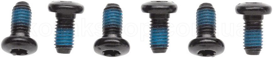 Болты крепления ротора SRAM ROTOR BOLT KIT - STEEL (QTY 6) (11.5363.012.300)