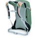 Рюкзак Osprey Hikelite 18 [pine leaf green] - O/S