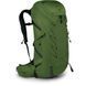 Рюкзак Osprey Talon 36 [green belt/black] - L/XL