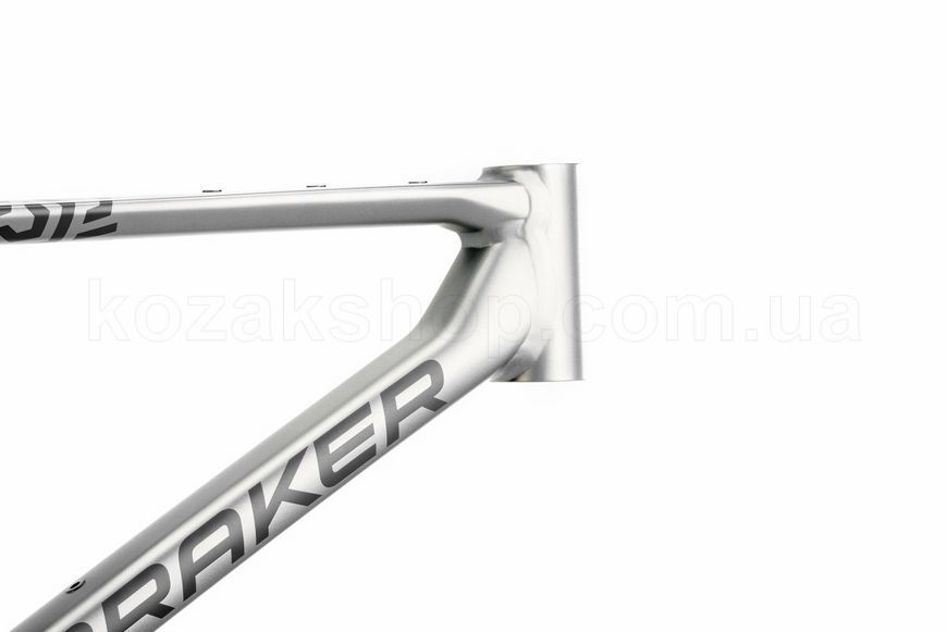 Велосипед Mondraker Arid R [Golden Silver] - M/L