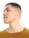 Термокофта Icebreaker 260 Tech LS Crewe MEN [CLOVE] - S