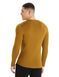 Термокофта Icebreaker 260 Tech LS Crewe MEN [CLOVE] - S