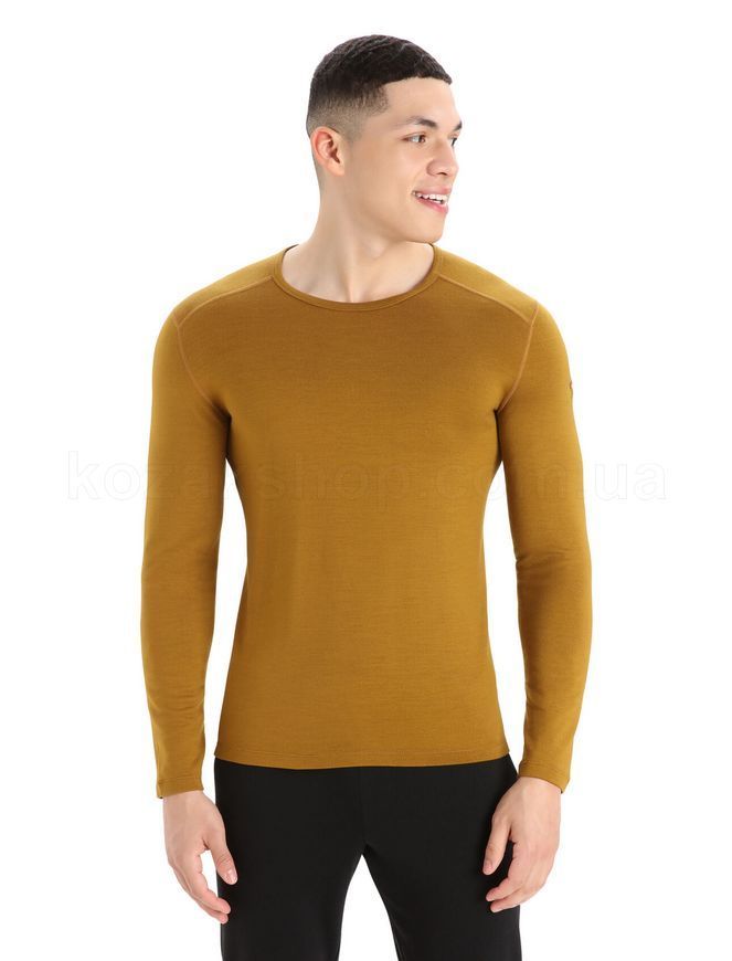 Термокофта Icebreaker 260 Tech LS Crewe MEN [CLOVE] - S