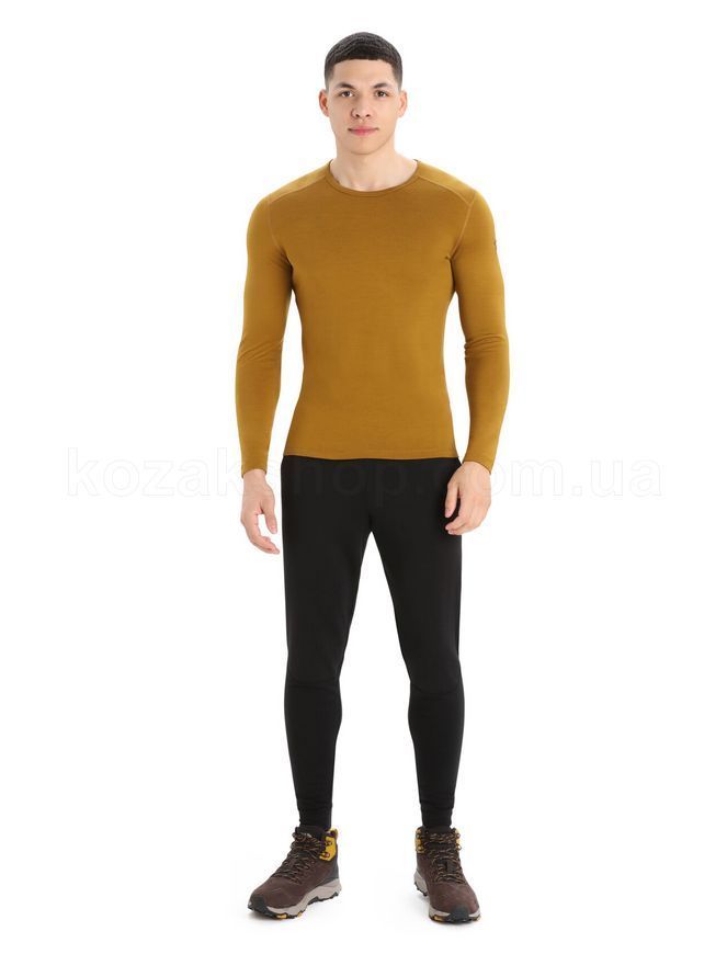 Термокофта Icebreaker 260 Tech LS Crewe MEN [CLOVE] - S