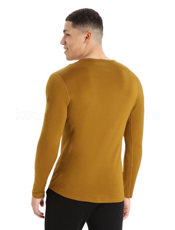 Термокофта Icebreaker 260 Tech LS Crewe MEN [CLOVE] - S