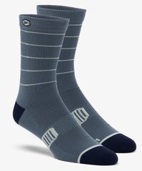 Шкарпетки Ride 100% ADVOCATE Performance Socks [Slate], S/M