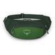 Поясна сумка Osprey Daylite Waist [green belt/green canopy] - O/S