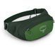 Поясна сумка Osprey Daylite Waist [green belt/green canopy] - O/S