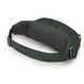 Поясна сумка Osprey Daylite Waist [green belt/green canopy] - O/S