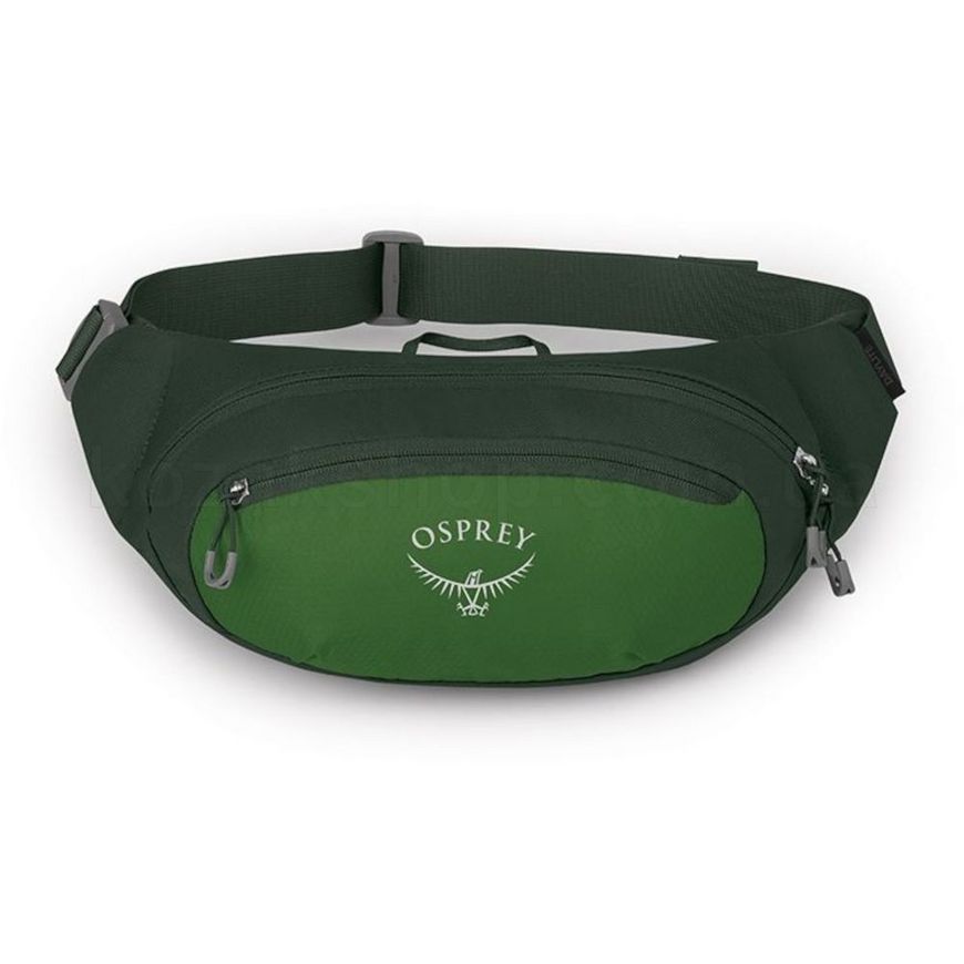 Поясна сумка Osprey Daylite Waist [green belt/green canopy] - O/S