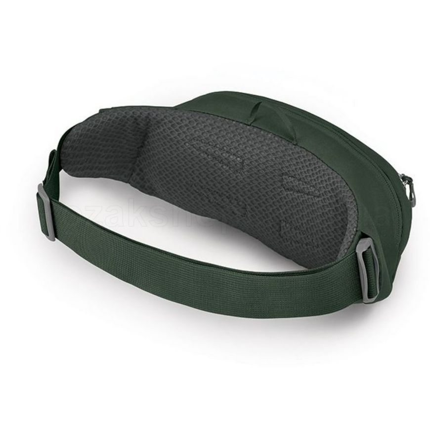 Поясна сумка Osprey Daylite Waist [green belt/green canopy] - O/S