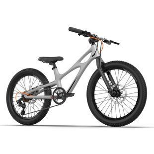 Дитячий велосипед RoyalBaby SPACE SHUTTLE 20", OFFICIAL UA, сірий