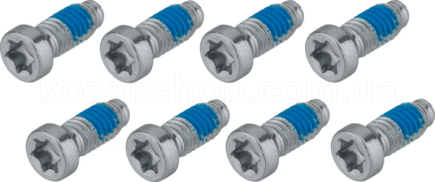 Зірка SRAM T-Type 30T Direct Mount 3mm Offset Eagle (including 8 bolts) Black - X0 D1