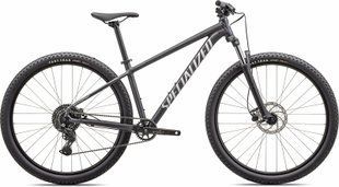 Велосипед Specialized Rockhopper Sport 29" VN [BLKLQDMET/WHT] - XXL (91825-6206)
