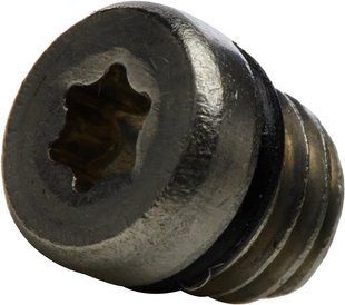 Винт порта прокачки тормозов SRAM DISC BRAKE LEVER RESERVOIR BLEED SCREW/O-RING - STAINLESS (QTY 20) (11.5215.019.000)