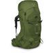 Рюкзак Osprey Aether 65 [garlic mustard green] - S/M