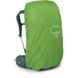 Рюкзак Osprey Viva 45 [succulent green] - O/S